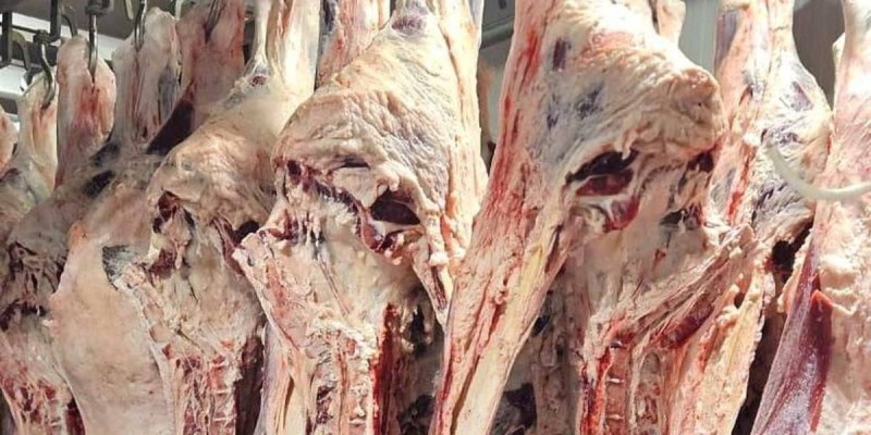 Министрлік мәлімдеме жасады: Киік еті қауіпсіз