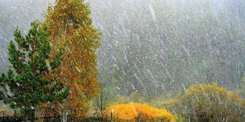 Қар жауып, үсік жүреді: 1 қыркүйекке арналған ауа райы болжамы