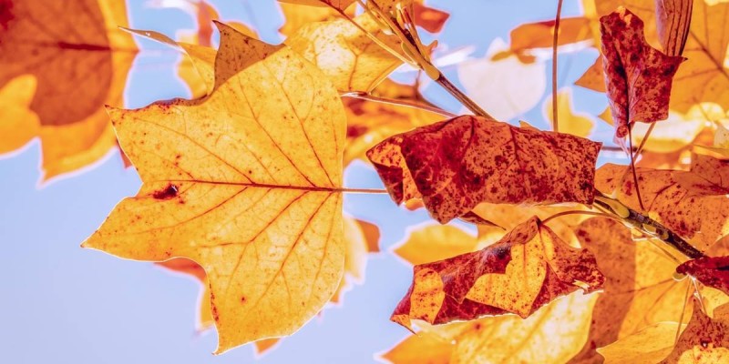 7 қазанға арналған ауа райы болжамы