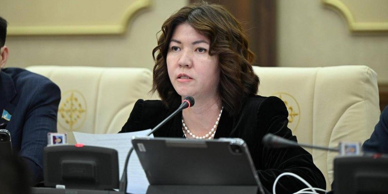 Сүлейменоваға бағытталған сын садағы: Министр шұғыл мәлімдеме жасады