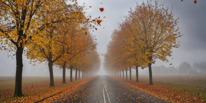 24 қазанға арналған ауа райы болжамы