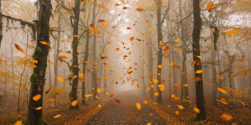 29 қазанға арналған ауа райы болжамы