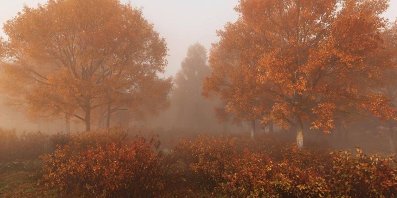 30 қазан күнгі ауа райы болжамы