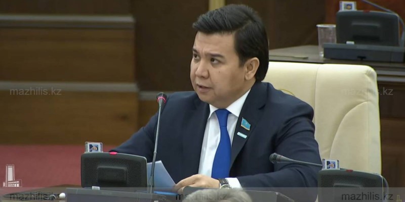 Мәжіліс депутаты некесіз баласы барын растады