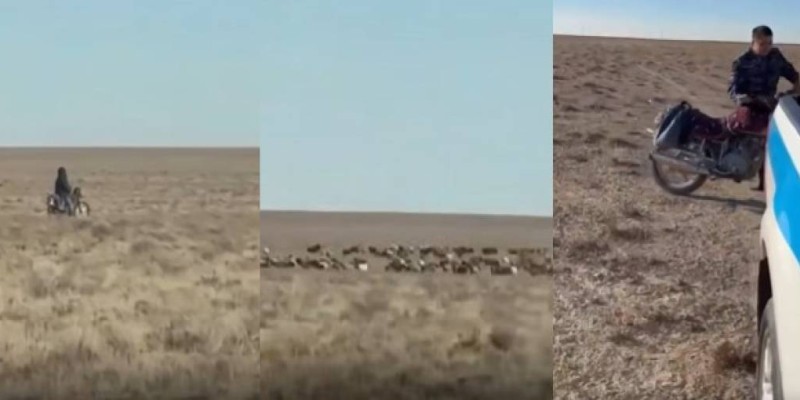 Полицейлер далада малшының мотоциклін алып кетті