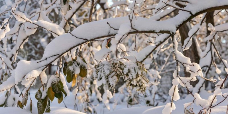 Қазақстанда қыс қандай болатыны айтылды