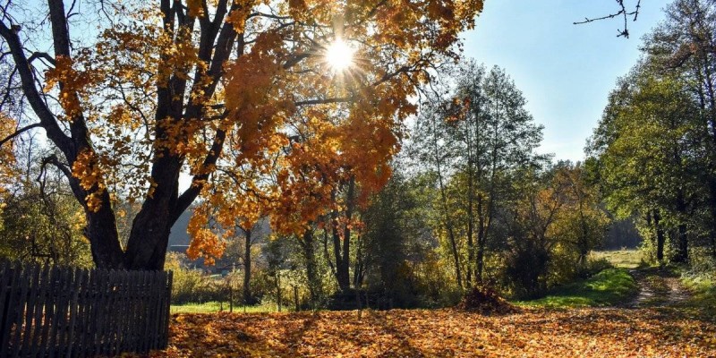 +14 градусқа дейін жылы болады: 19 қарашаға арналған ауа райы болжамы