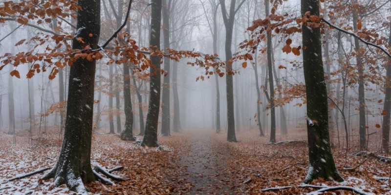 27 қарашаға арналған ауа райы болжамы