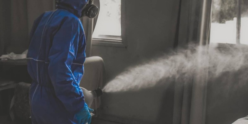 Инфекционистер алаңдаулы: құс тұмауы COVID-19-дан да қауіпті болуы мүмкін