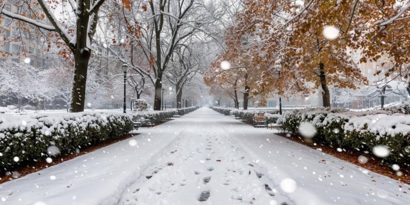 4 желтоқсанға арналған ауа райы болжамы