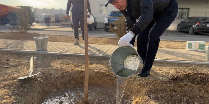 "Таза Қазақстан": Ақтауда 7 мыңнан астам ағаш отырғызылды