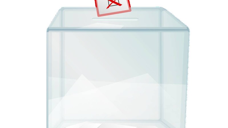 Сайлаушы құқығы: Абзал Құспанның сайлаушыларға екі ұсынысы.