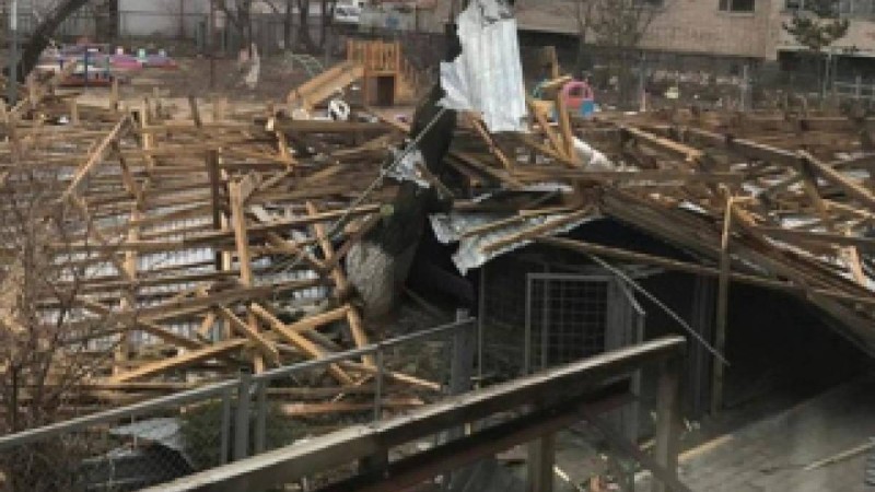 Ақмола облысында қатты жел 119 ғимараттың шатырын жұлып кеткен.
