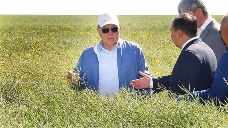 Нұрсұлтан Назарбаев: Егін ору жұмыстарын жеделдету керек.