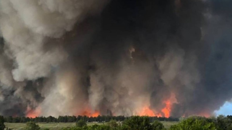 Абай облысындағы ірі орман өртіне қатысты қылмыстық іс сотқа жолданды.