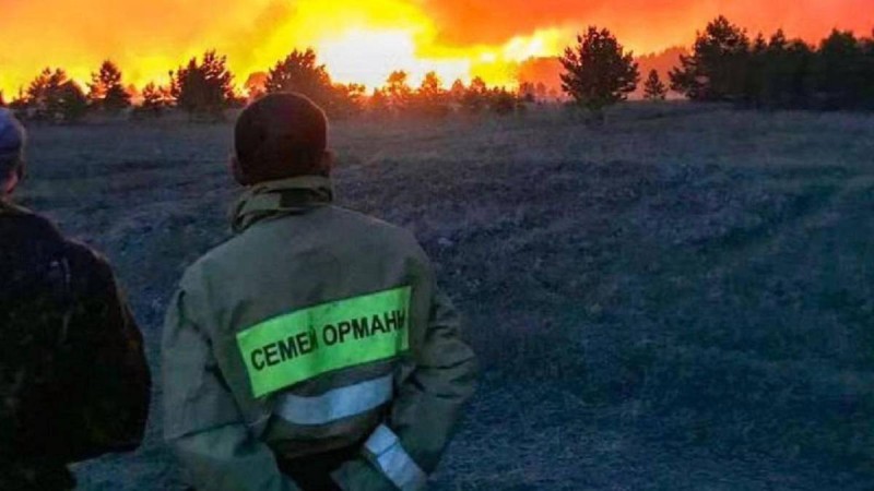 Өрт: Аяқ киім берілмеген орманшылар, өртке жетпей далада қалған 5 көлік.