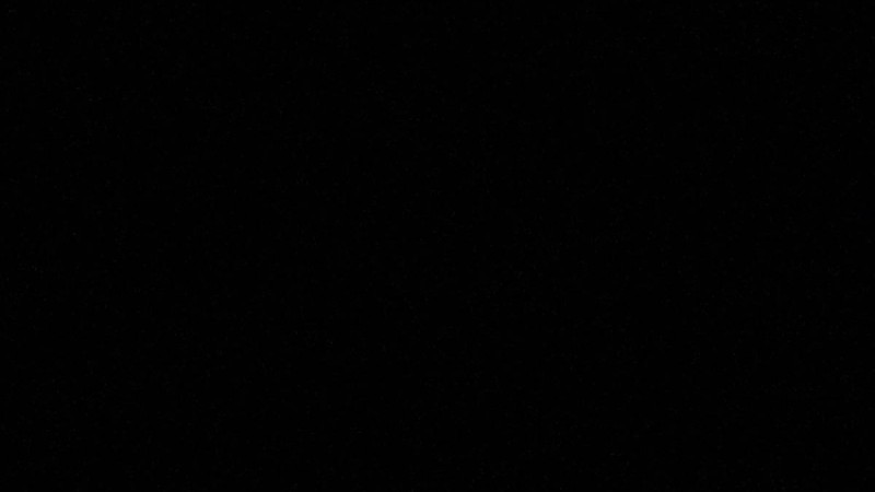 28 желтоқсан жалпыұлттық қаралы күн болып жарияланды.