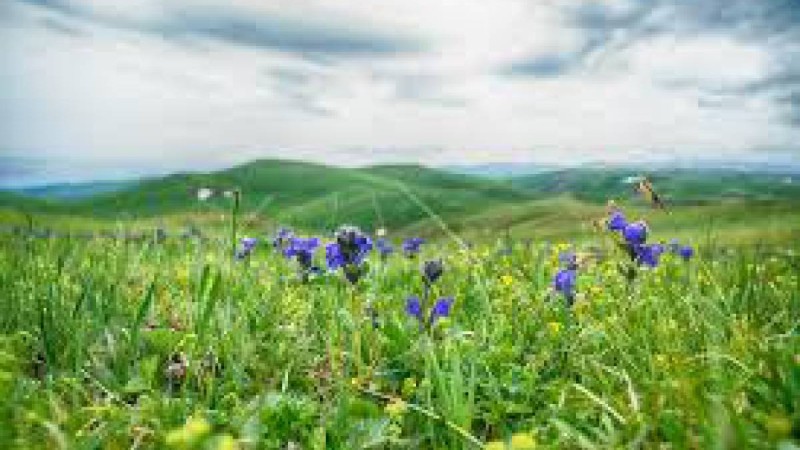 Тарбағатайда туған әнші қыз.