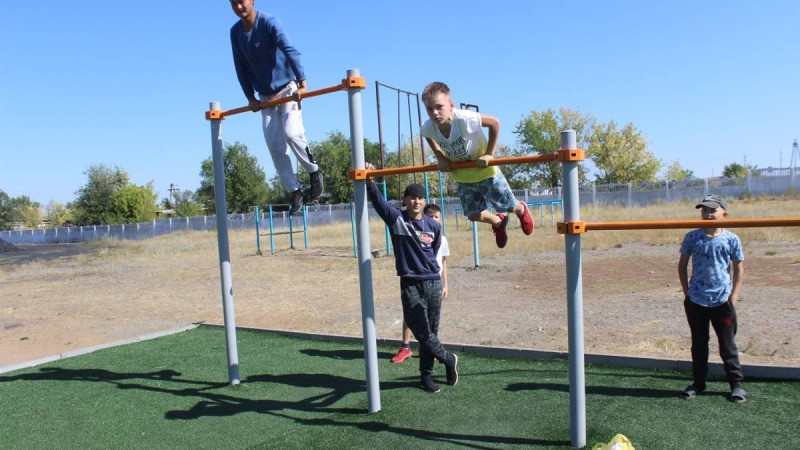 Шығыс Қазақстанда шетелдік компанияға он жылға 14 га жер жалға берілген.