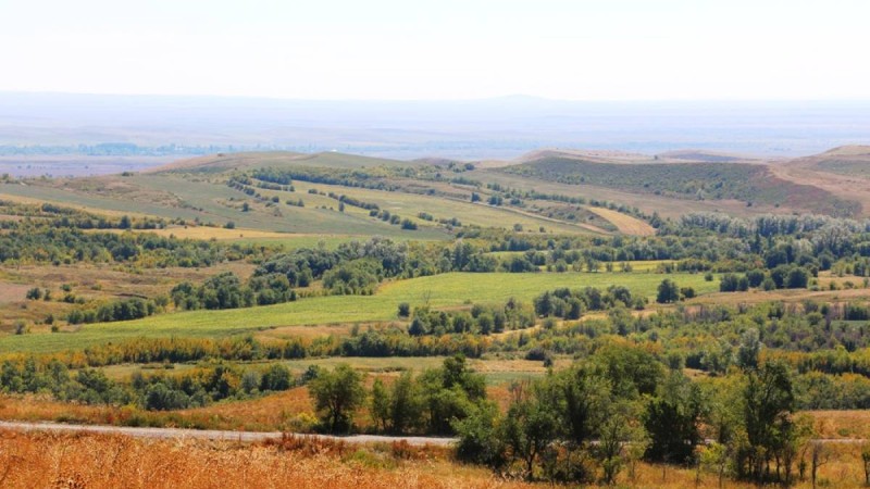 ШҚО Қытайға жер беру туралы мәлімдеме жасады.