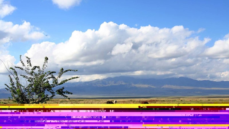 “Сен Отаныңды сүйесің, Отаның сені сүйе ме?!”.