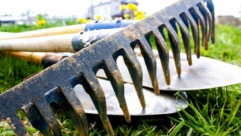 Білім министрлігі мұғалімдерді сенбілікке шығарған шенділерге қатысты шағым түсіруге кеңес берді.