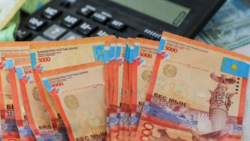 Елімізде зейнетақы қорындағы жинақ қандай ем түрлеріне пайдаланылады.