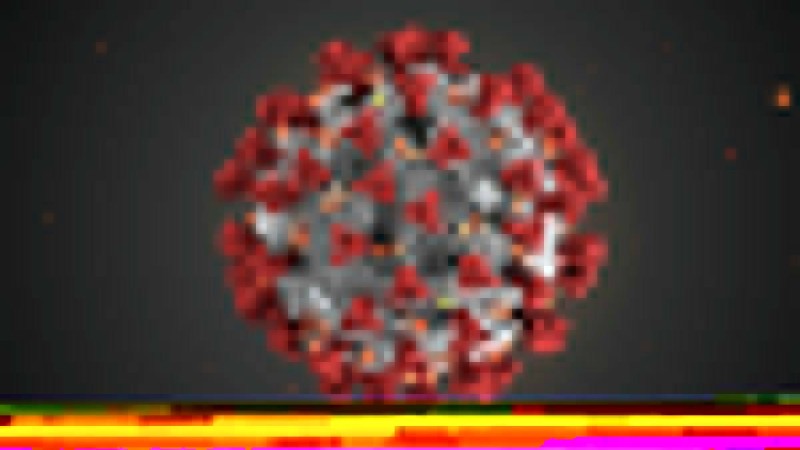 Астанада коронавирус жұқтырған тағы 14 адам анықталды (видео).