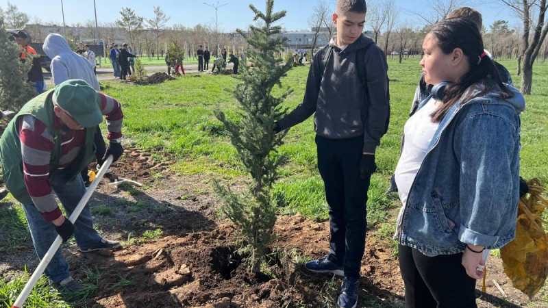 Қарағанды облысында 90 мыңнан аса көшет отырғызылады.