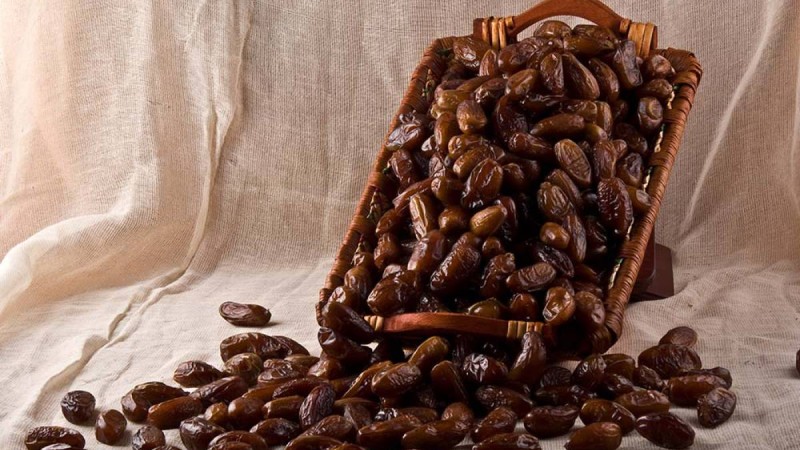 Шетелден әкелінген құрмадан қауіпті ішек инфекциялары табылды.