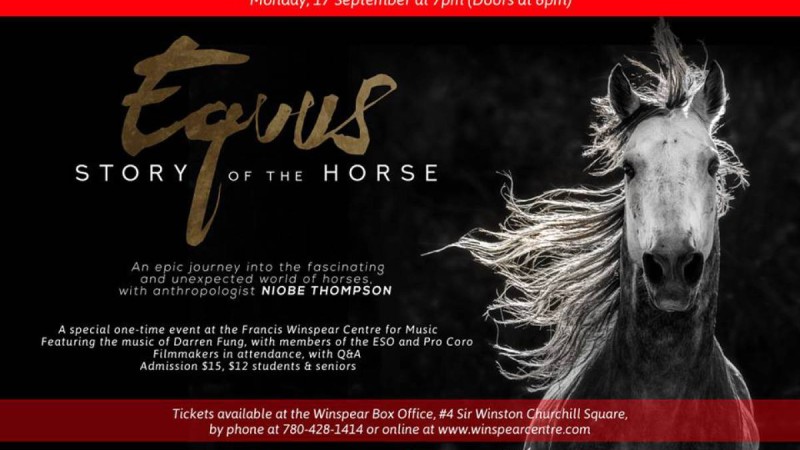 Канадалық режиссерды қазақ жылқы баптау мәдениеті таң қалдырды.