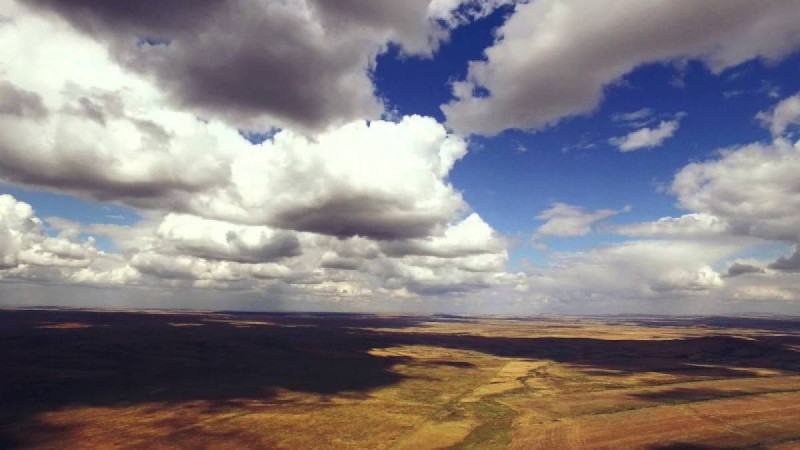 «Қазақ жерін сатуға, жалға беруге ешқандай құқығымыз жоқ».