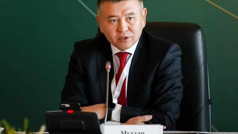 «Билікке проблемаларды шешу үшін міндетті түрде бір апат, зорлау, қасірет, митинг керек пе?».