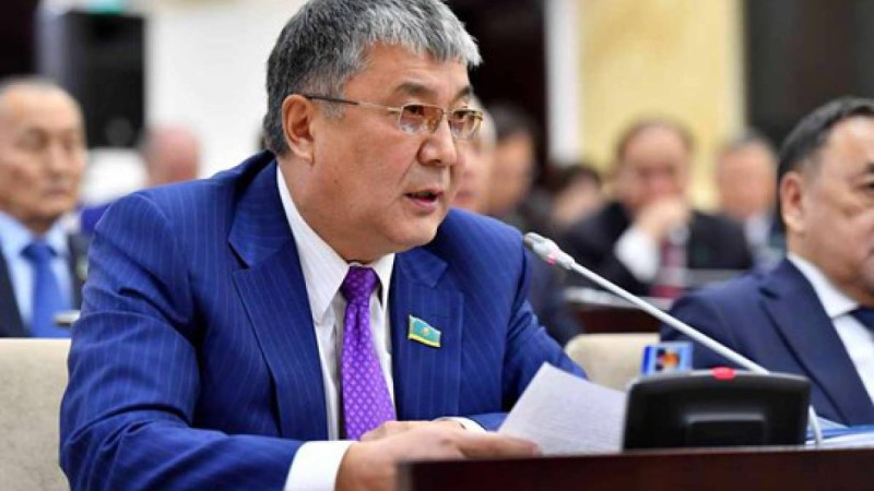 Сенатор: көп балалы отбасыларға берілетін жәрдемақыны өсіріп, үй мәселесін шешу керек.