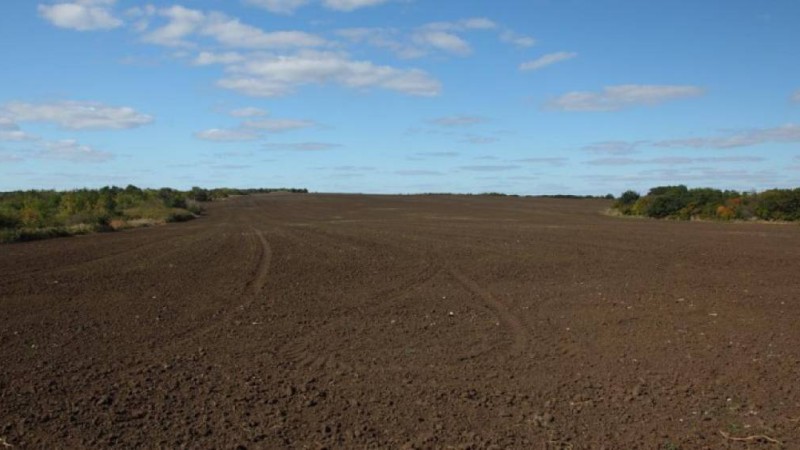 Қазақ жері: Үкімет даулы қаулысын қайтарып алды.