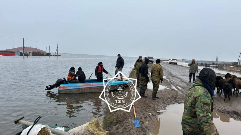 Қар суы тасқыны әкімдердің саботажы – саясаттанушы.