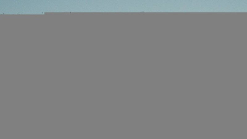 Екі қазақ Қытайдан Қазақстанға қашып келді (видео).