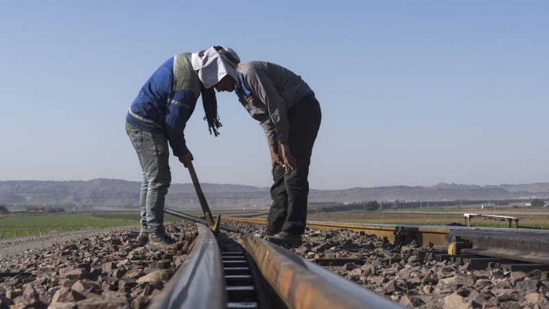 Еңбек инспекторлары 15,1 мыңнан астам жұмыскердің құқығын қорғады.