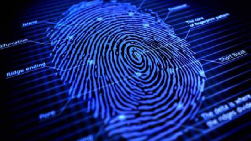Дактилоскопиялық тіркеудің кешігуі – жауапсыздық салдары.