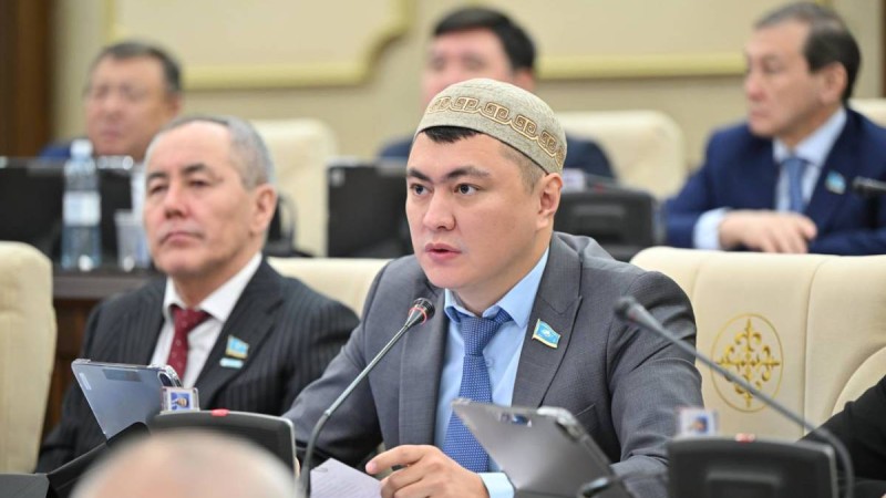 «Декретке миллионмен»: Депутат өзін айыптағандарға жауап қатты.