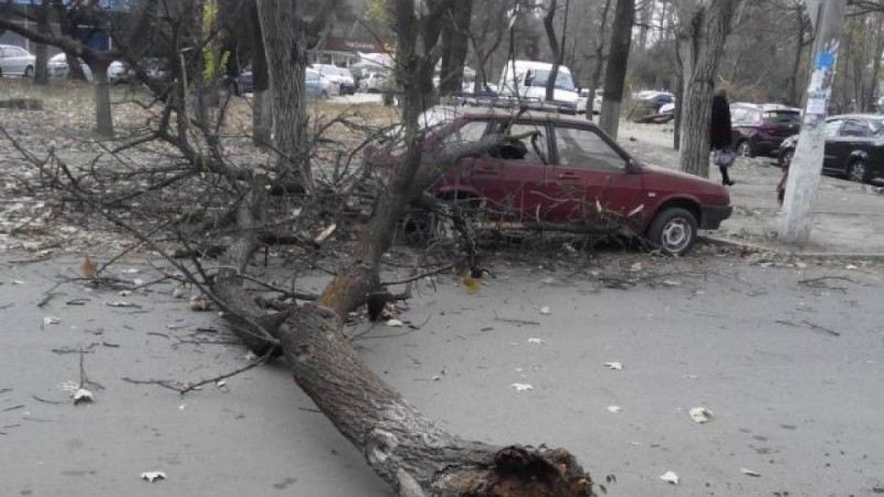 Павлодарда қатты дауылдан әйел қайтыс болды.
