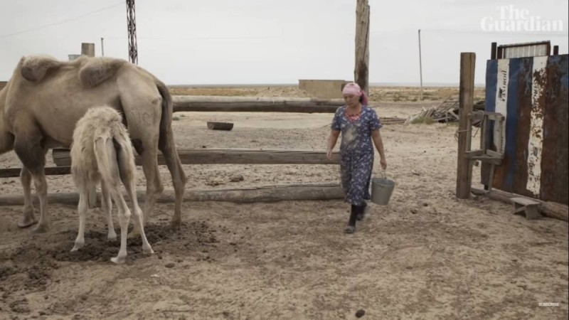 The Guardian: Жаңа жасыл держава ма? Мұнай алпауыты Қазақстан шикізат өніміне тәуелділіктен құтылуға тырысады.