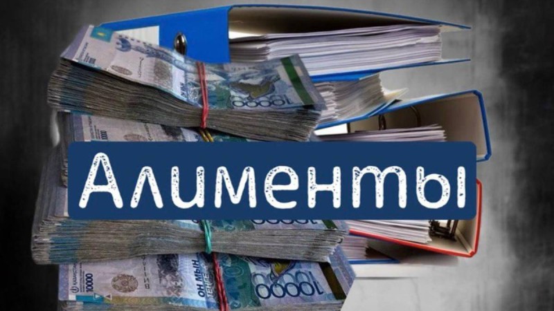 Сот орындаушы баланың алименттерін жымқырған.