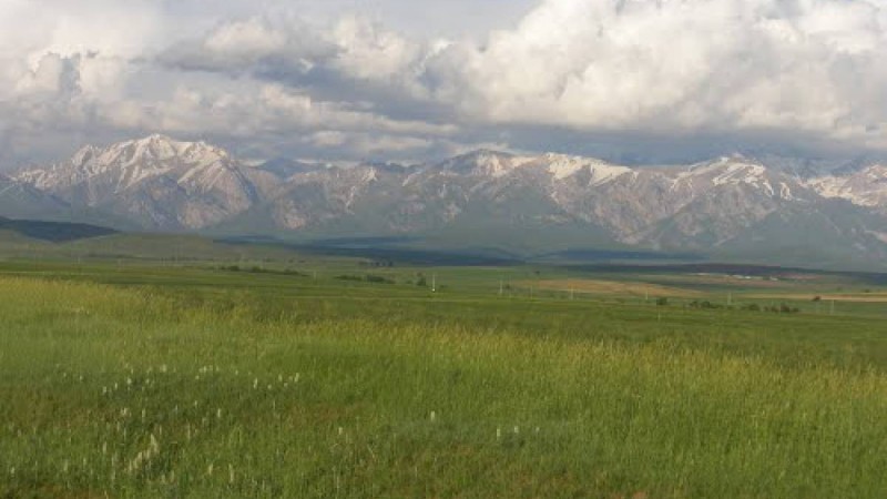 Шетелдік үлесі бар қазақстандық заңды тұлғаларға жер берілмейді.