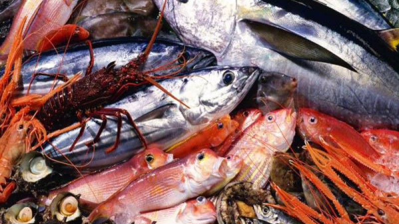 «Магнумда» құрттаған балық қайдан жүр?.