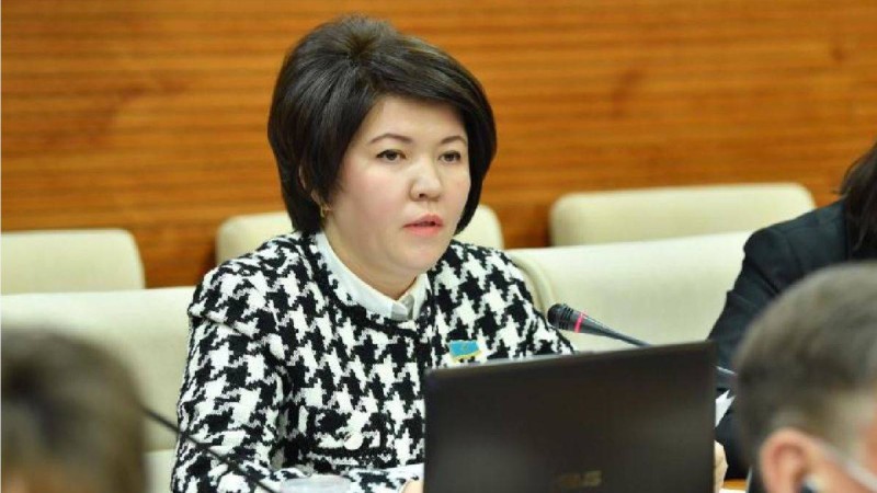Әлеуметтік желіге бақылауды күшейту керек – депутат.