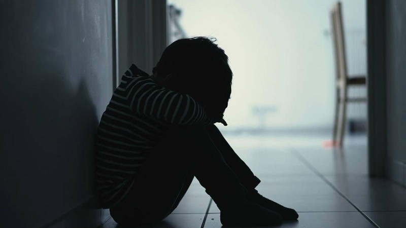 Алматы облысында туған тәтесі екі баланы мұрадан айырған.