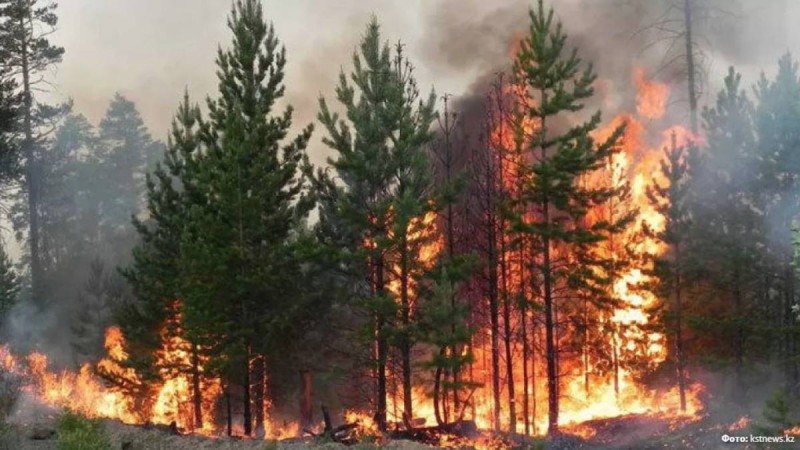 Қостанай облысындағы алапат өртке тракторшы кінәлі болып шықты.