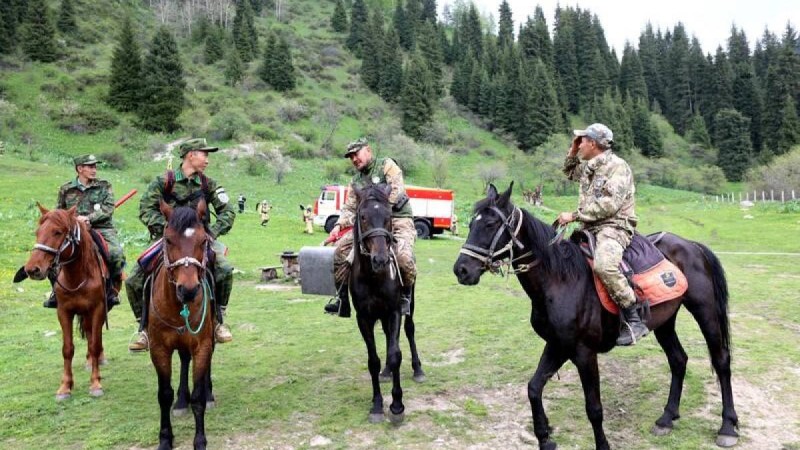 Орман және табиғат қорғау мекемелері қызметкерлерінің жалақысын көтеру үшін 8,5 млрд теңге бөлінді.