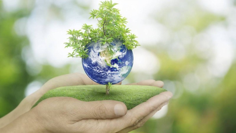 «Eco Almaty» директоры жауапқа тартылды.